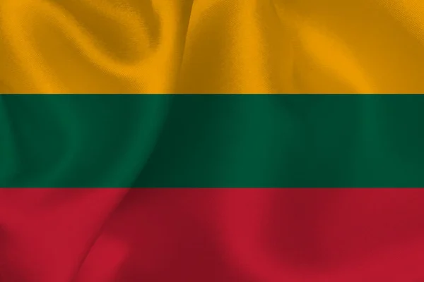 Lithuania flag flag — Stock Vector