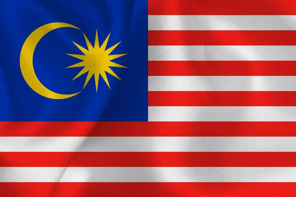 Malaysia flag flag — Stock Vector