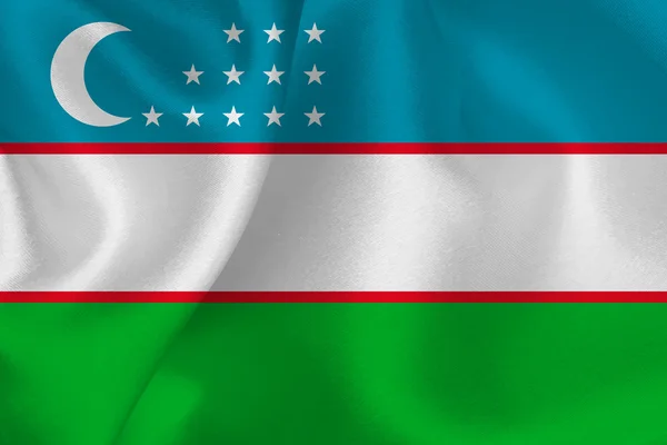 Uzbekistan flag flag — Stock Vector