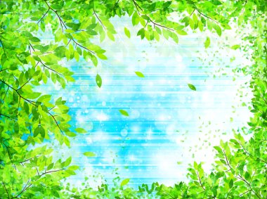 Yaprak taze yeşil arka plan