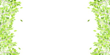 Yaprak taze yeşil arka plan