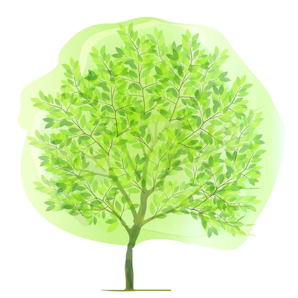 Arbre fond vert frais — Image vectorielle