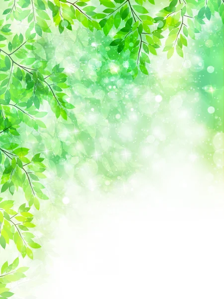 Yaprak taze yeşil arka plan — Stok Vektör