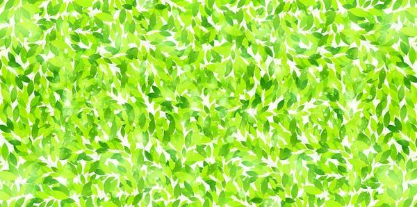 Folha verde fresco fundo — Vetor de Stock