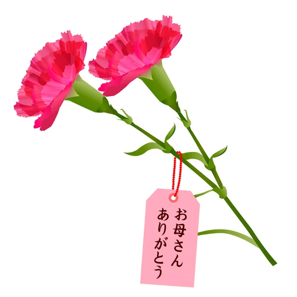 Carnation Mother's Day bloemen — Stockvector