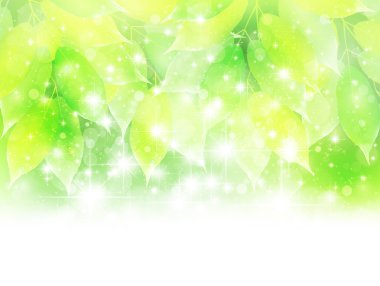 Yaprak taze yeşil arka plan