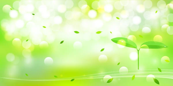 잎 신선한 녹색 배경 — 스톡 벡터