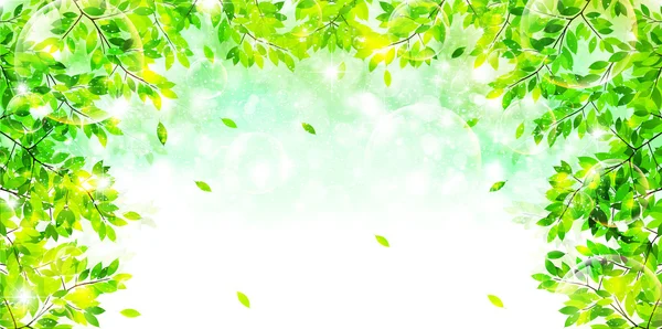 葉新鮮な緑の背景 — ストックベクタ