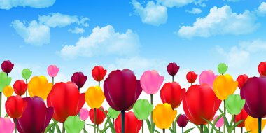 Lale çiçek arka plan