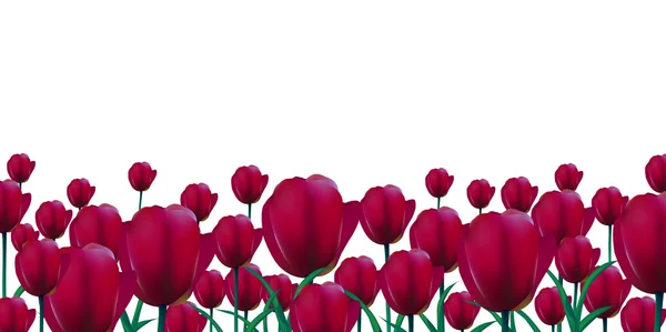 Цветочный фон тюльпана — стоковый вектор