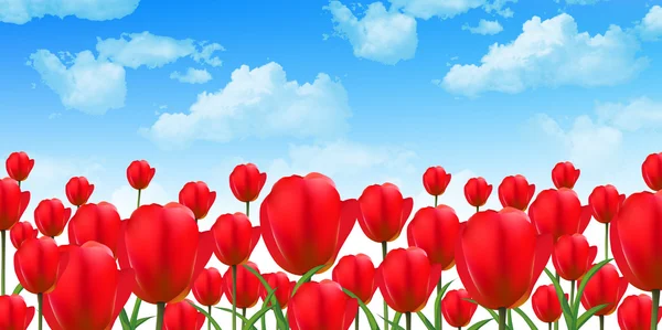 Tulip flower bakgrund — Stock vektor