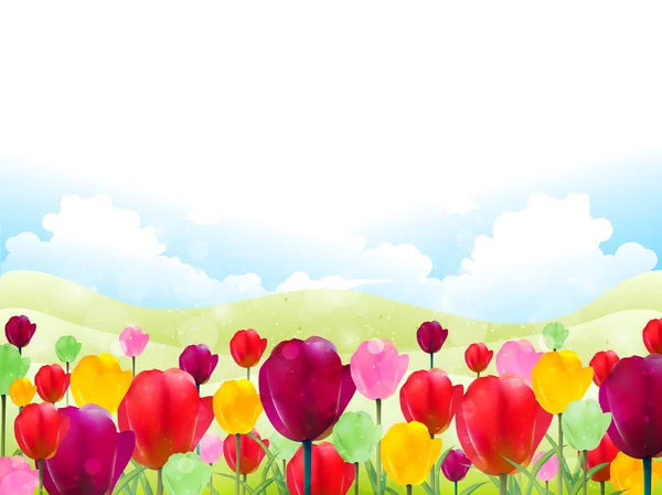 Fond de fleur de tulipe — Image vectorielle