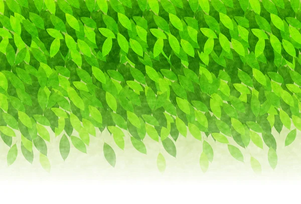 Hoja de fondo verde fresco — Vector de stock