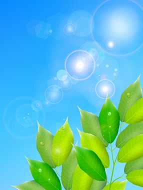 Yaprak taze yeşil arka plan