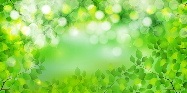 Folha verde fresco fundo — Vetor de Stock