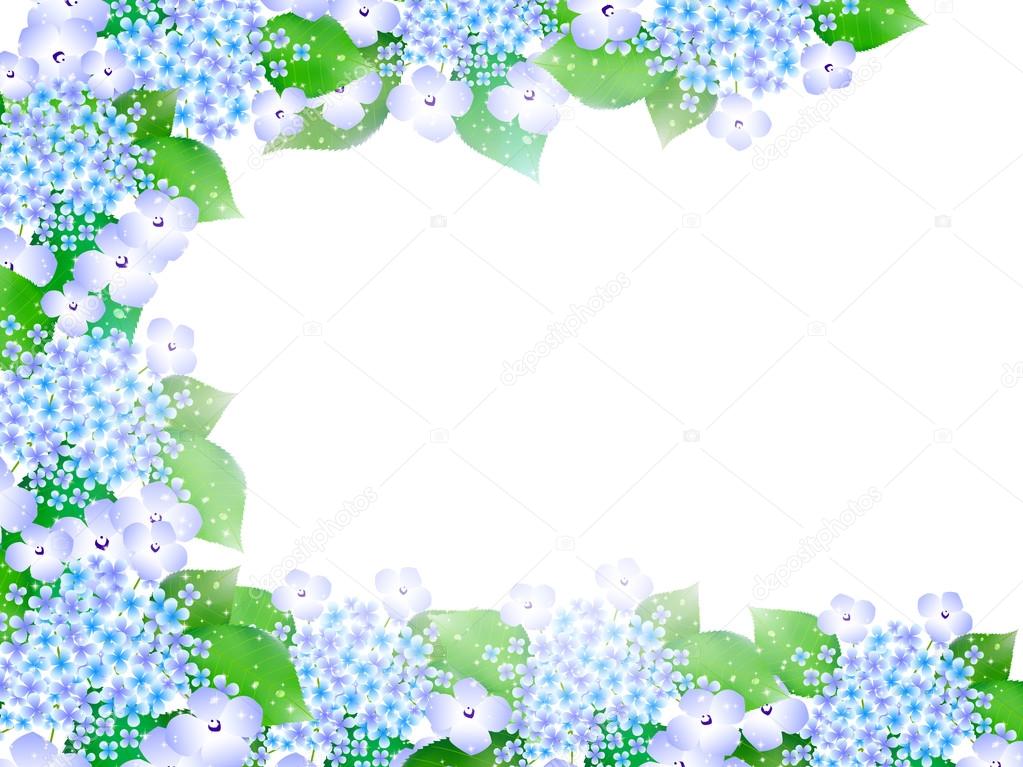 Hydrangea rainy season background