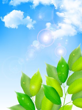 Yaprak taze yeşil arka plan