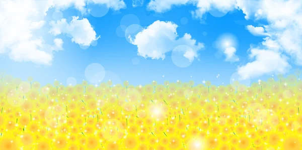Sunflower sky background — Stock Vector
