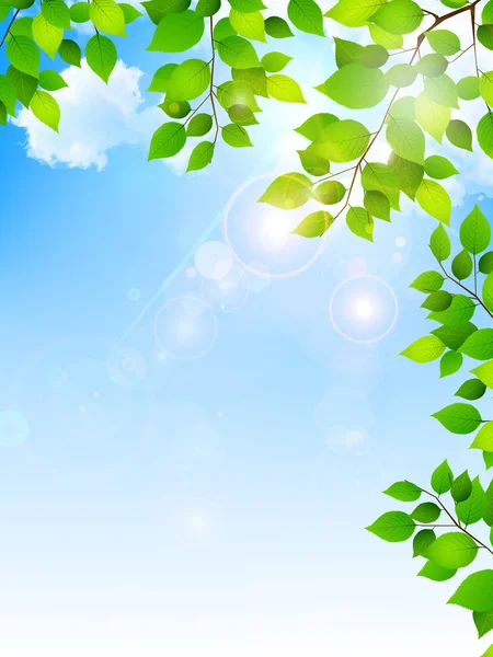 Φύλλα φρέσκο πράσινο φόντο — Διανυσματικό Αρχείο