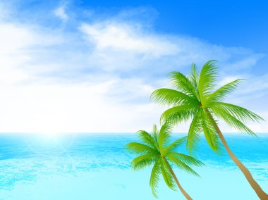 Deniz palm arka plan