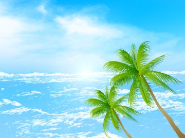 Deniz palm arka plan