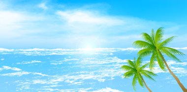 Deniz palm arka plan