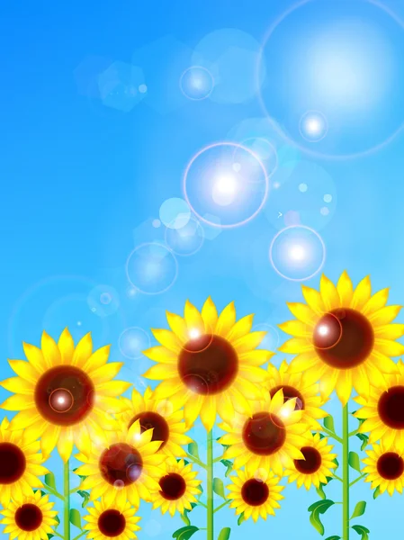 Girasol flor fondo — Vector de stock