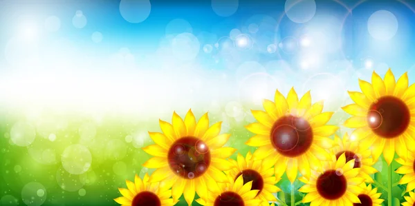 Tournesol fond de fleur — Image vectorielle
