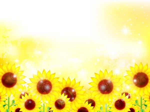 向日葵的花背景 — 图库矢量图片