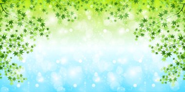 Yaprak akçaağaç arka plan