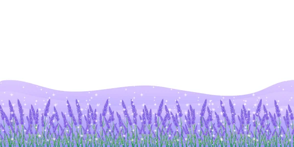 Lavendel kruid achtergrond — Stockvector