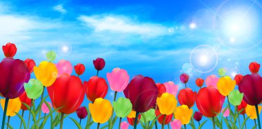 Lale çiçek arka plan