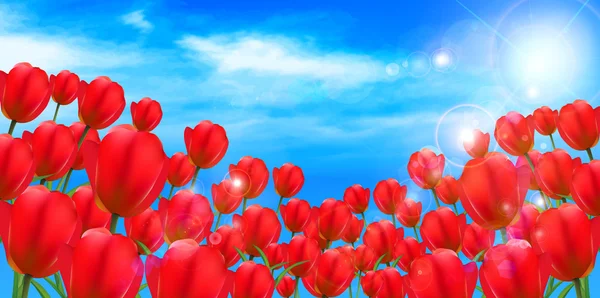 Tulipán flor fondo — Vector de stock