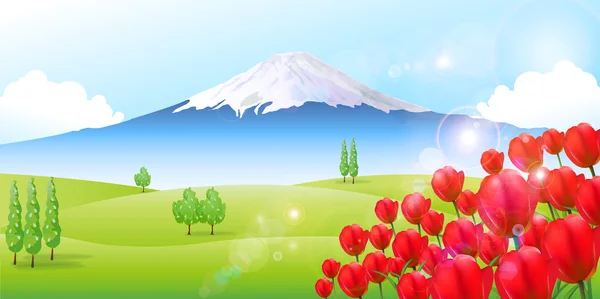 Fuji tulipa fundo — Vetor de Stock