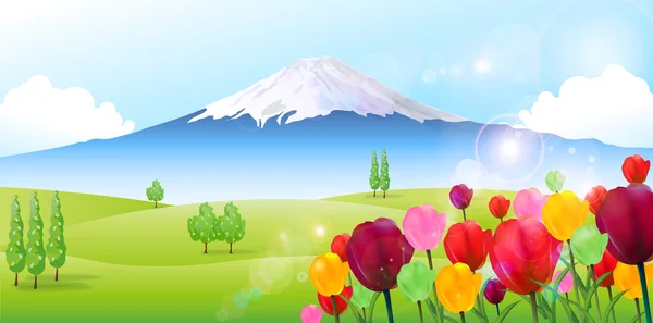 Fuji tulip background — Stock Vector