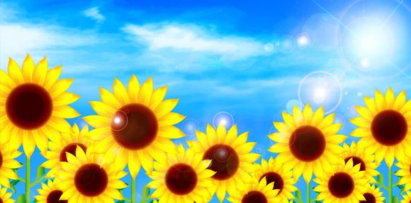 Sunflower sky background — Stock Vector