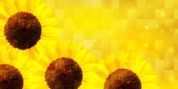 Girasol flor fondo — Vector de stock