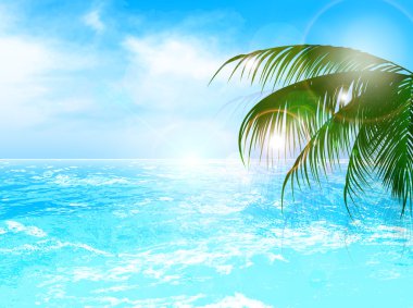 Deniz palm arka plan