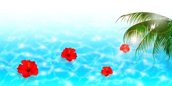 Hibiscus sea background — Stock Vector