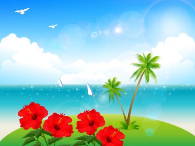 Hibiscus deniz arka plan