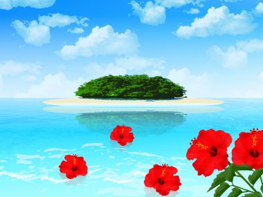 Hibiscus deniz arka plan