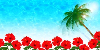Hibiscus deniz arka plan