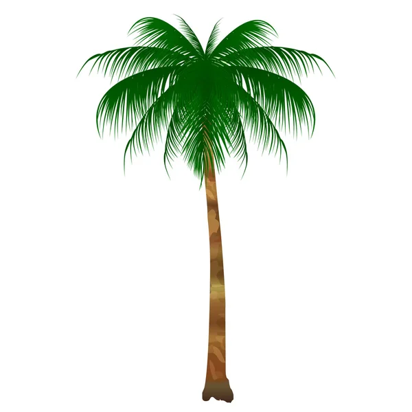 Icono del árbol de palmera — Vector de stock