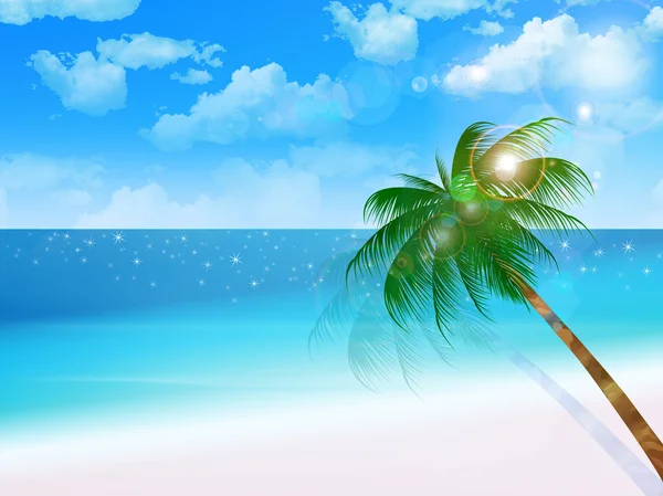 Zee palm achtergrond — Stockvector