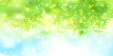 Yaprak su birikintisi arka plan