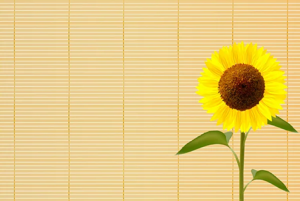 Sunflower summer greeting background