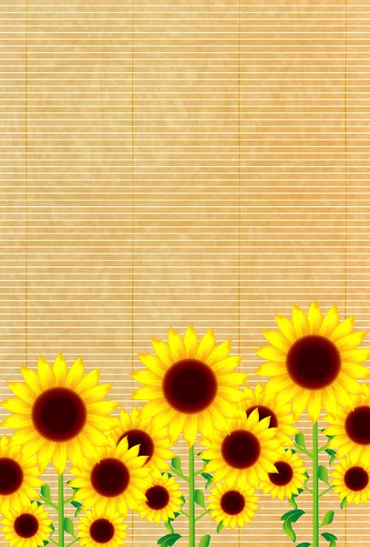 Соняшник літо вітальний фон — стоковий вектор
