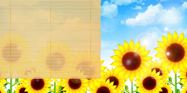 Sonnenblumenblinder Hintergrund — Stockvektor