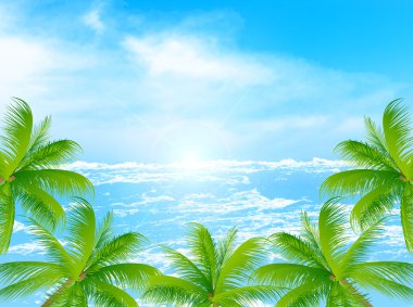 Deniz palm arka plan