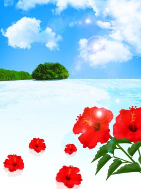 Deniz hibiscus arka plan